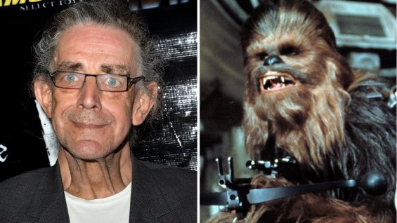 Mayhew-Chewbacca