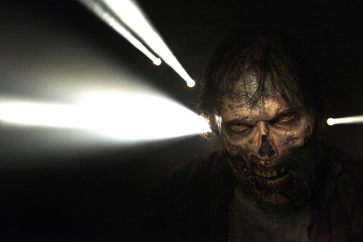 Walking Dead-Season 5