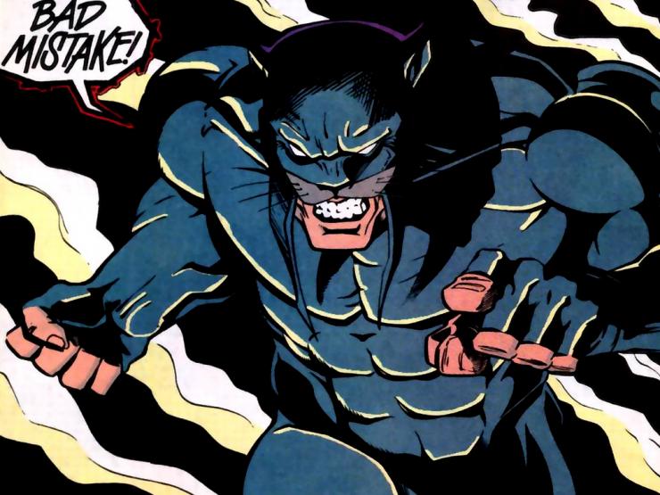 Wildcat