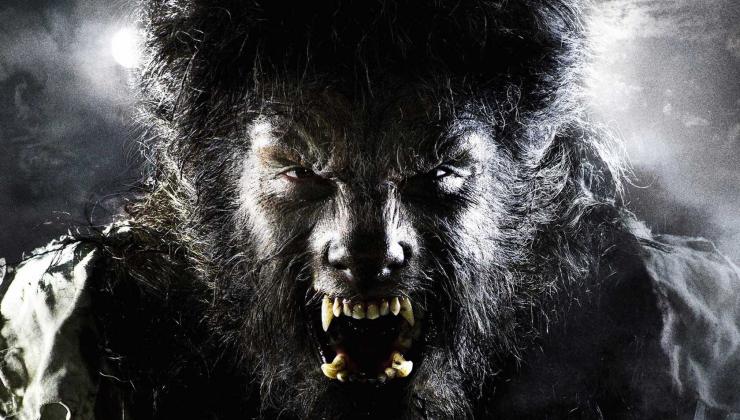 Wolfman