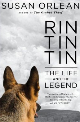 Rin, Tin, Tin